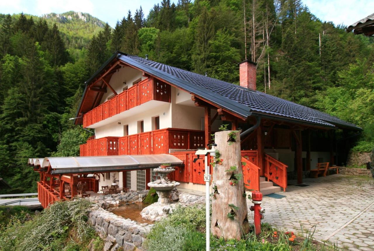 Guest House And Museum First Solčava Kültér fotó